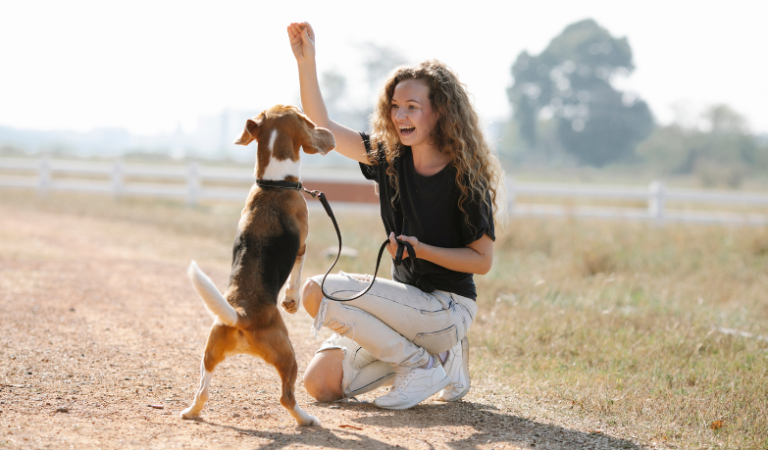 Confira dicas para ensinar truques divertidos para seu cachorro com Nathalia Belletato