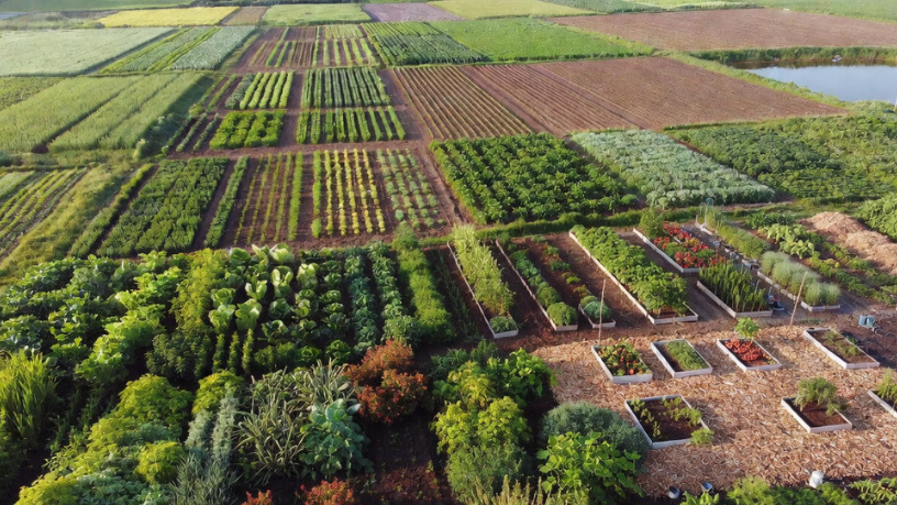 Para Aldo Vendramin, sustentabilidade dentro do agro é caminho para produzir mais com equilíbrio e responsabilidade.