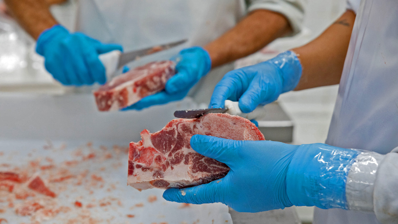 Tocantins consolida posição entre os maiores exportadores de carne bovina do Brasil Tocantins consolida posição entre os maiores exportadores de carne bovina do Brasil