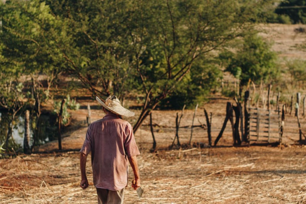 Setembro fecha com pressão concentrada sobre áreas rurais, aponta Cemaden Trabalhador rural caminha por uma área agrícola ressecada no Brasil.